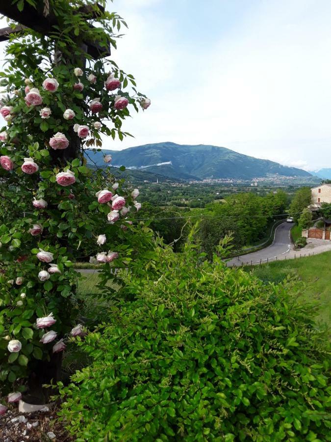 Locanda Bellavista Cavaso Del Tomba Eksteriør bilde